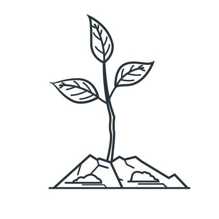 Зарисовка ростка