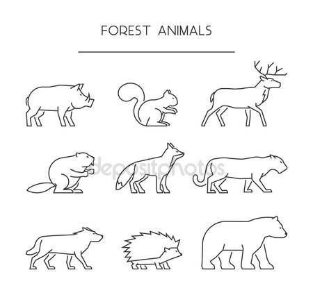 Контуры лесных животных