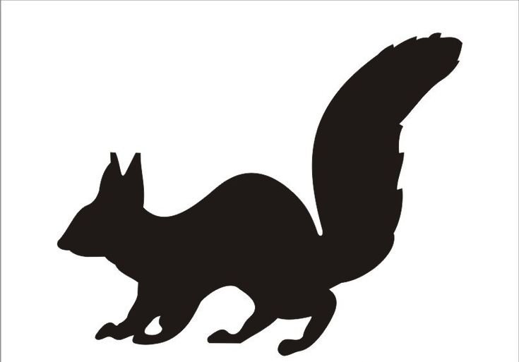 Силуэт белки