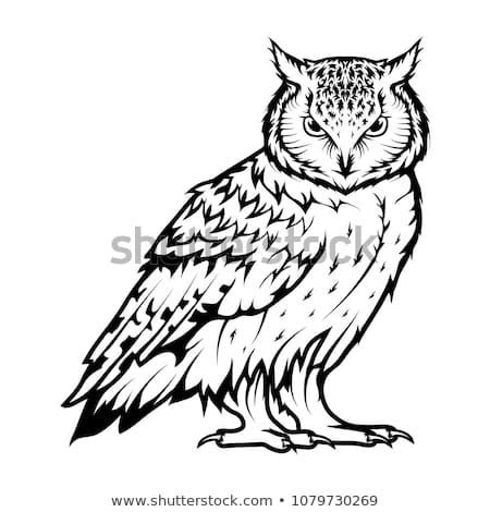 Векторное изображение Совы