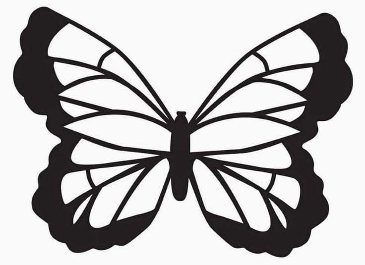 Трафареты бабочек для декора