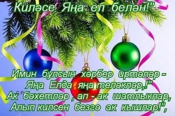 Яна ел картинки