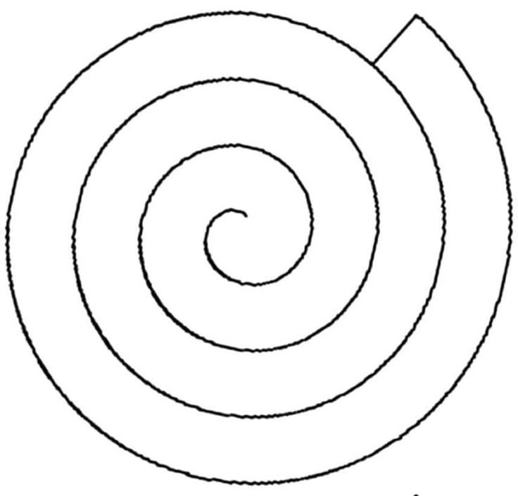 Трафарет для спиральной розы