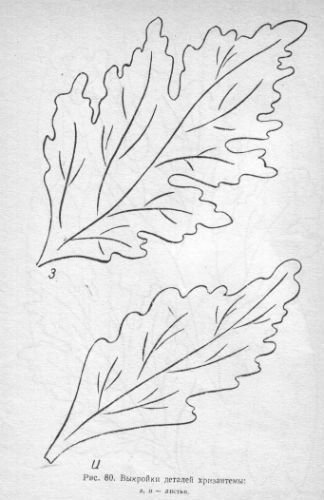 Трафареты листиков для цветов