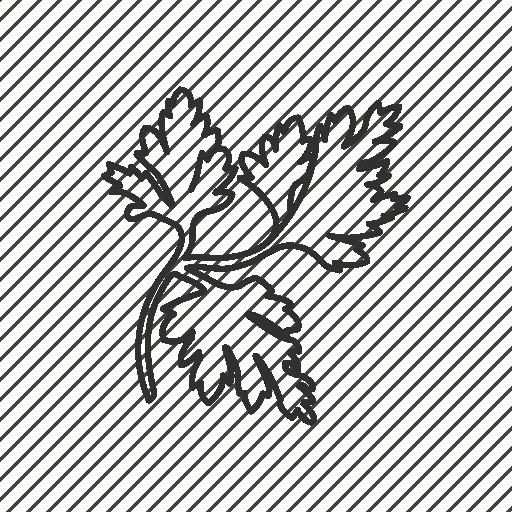 Петрушка трафарет