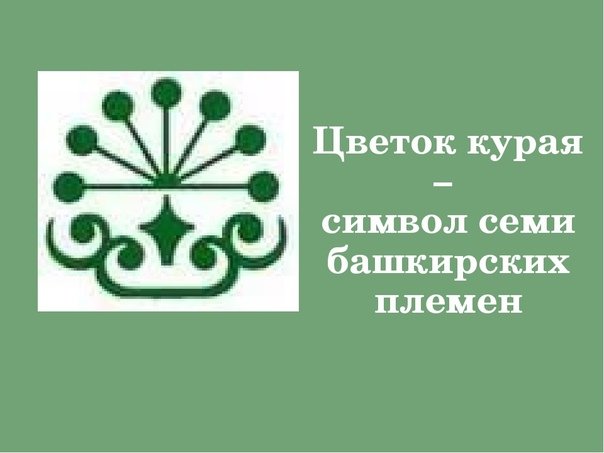 Башкирский орнамент с цветками курая