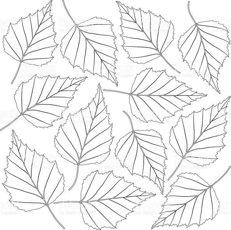 Трафареты листьев для вырезания из бумаги