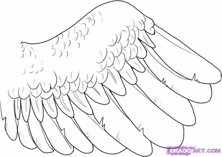 Крылья шаблон