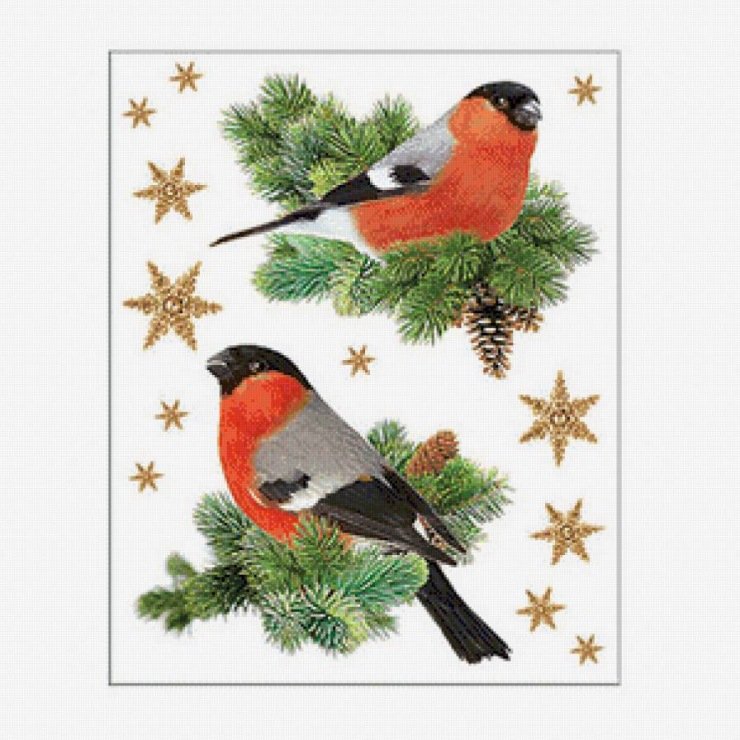 Снегири на ветке