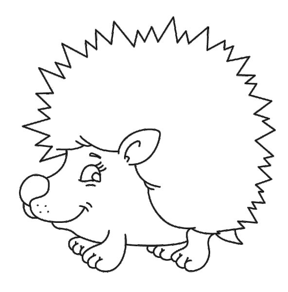 Еж раскраска