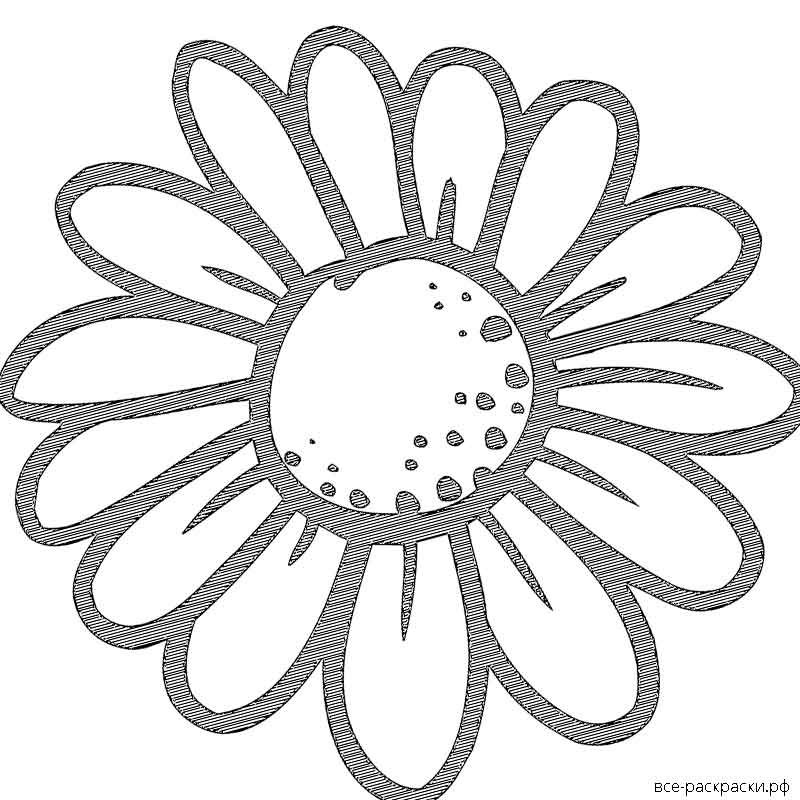 Трафарет ромашки для раскрашивания