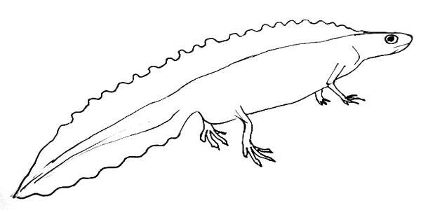 Тритон Ланца