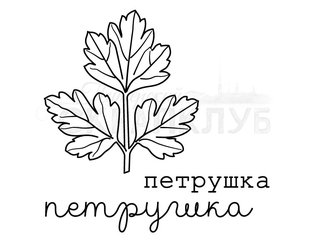 Петрушка зелень раскраска для детей