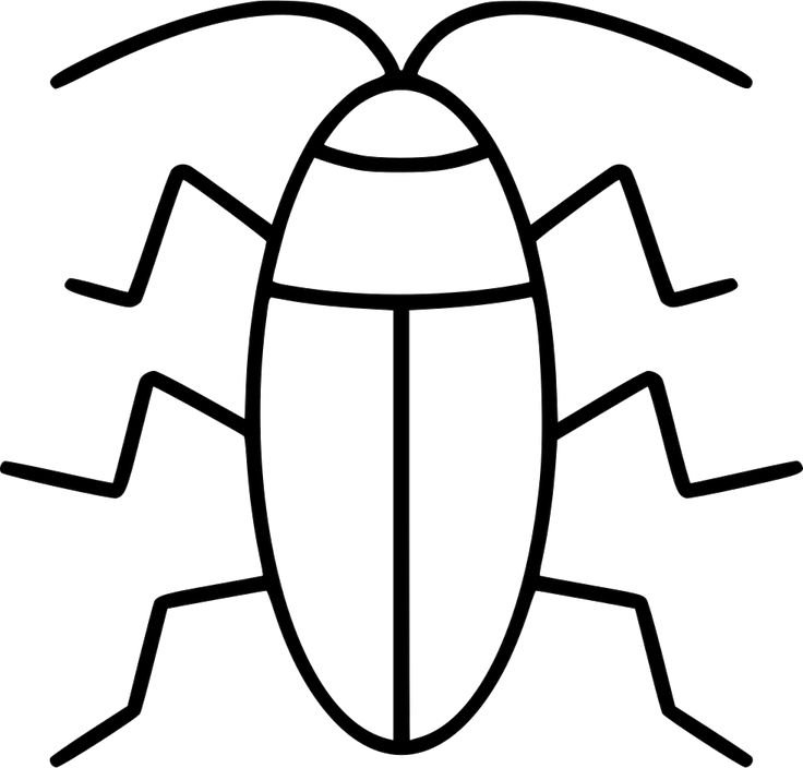 Жук раскраска для детей