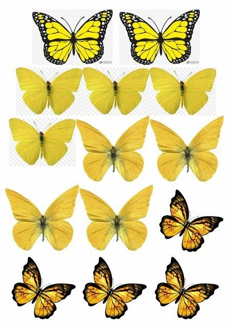 Декор торта с бабочками