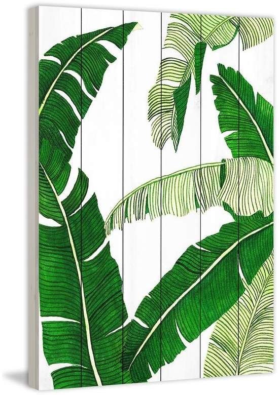 Тропические листья