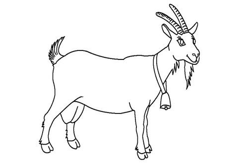 Раскраска коза