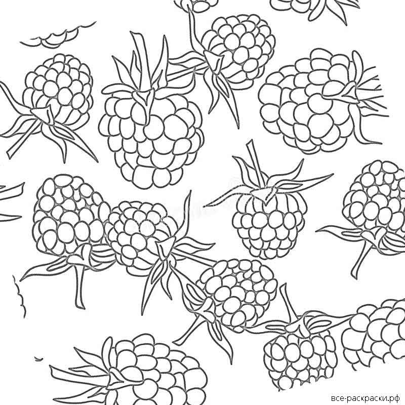 Трафарет ягоды малины