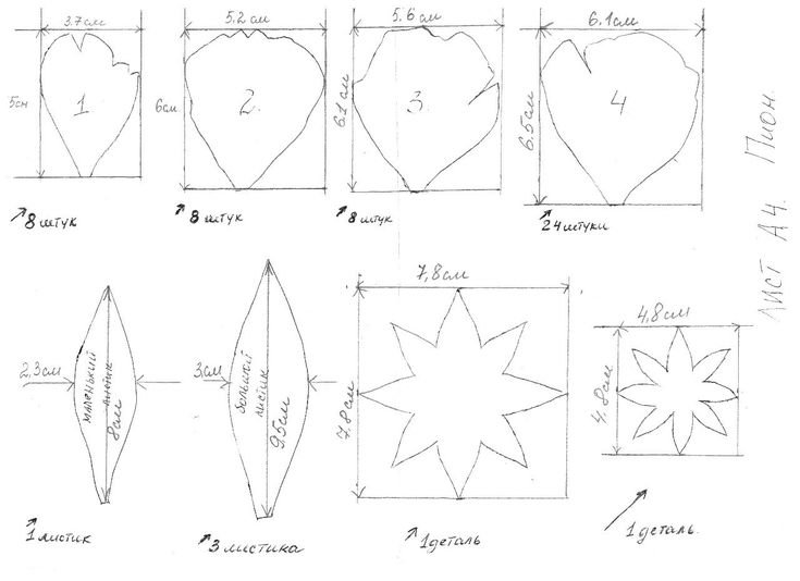 Шаблон лепестков пиона для фоамирана