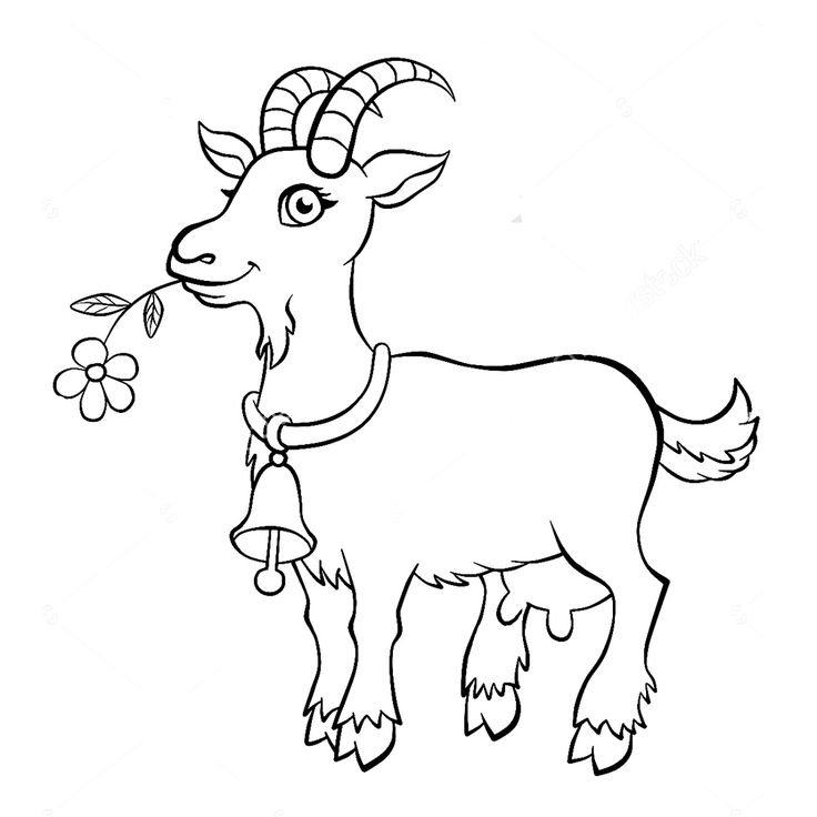 Коза раскраска для детей