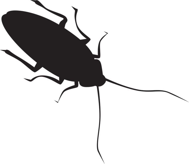 Таракан силуэт