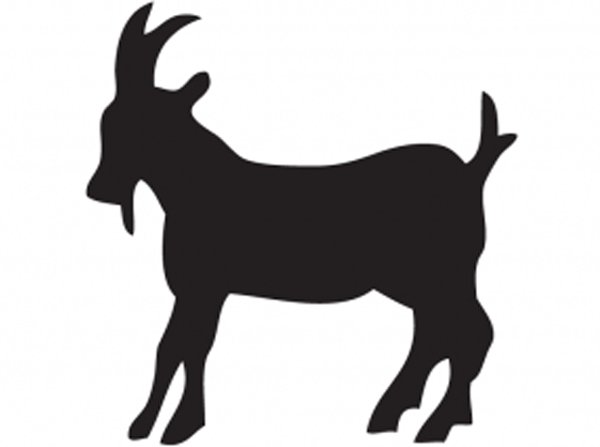 Теневой театр коза