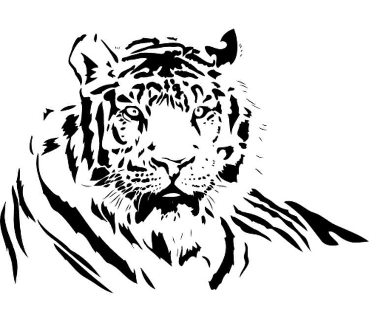 Тигр вектор