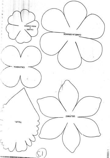 Трафареты цветов для фоамирана