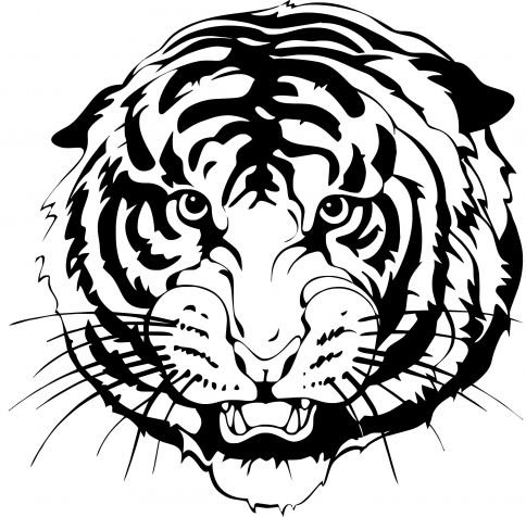 Тигр эскиз