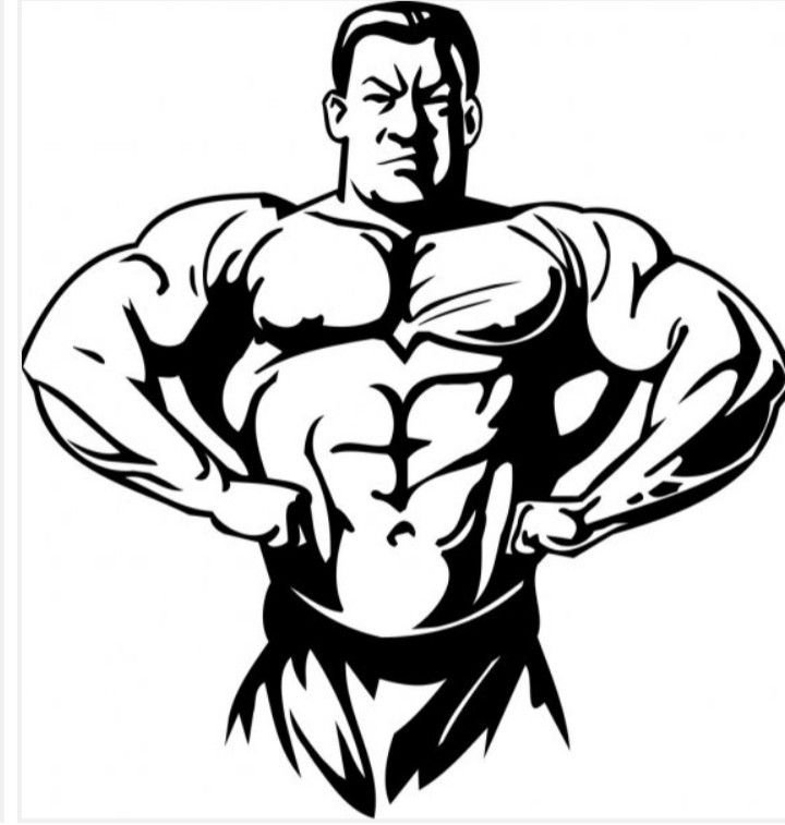 Трафарет бодибилдинг