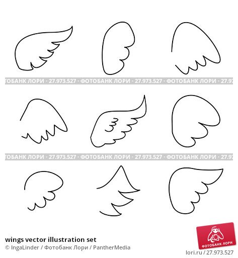 Крыло птицы шаблон