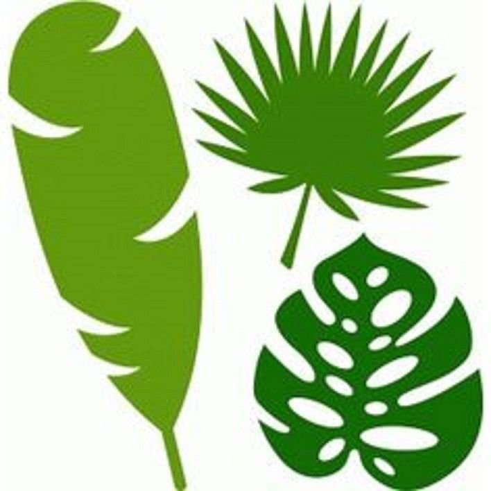 Тропические листья для плоттера