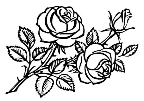 Роза раскраска