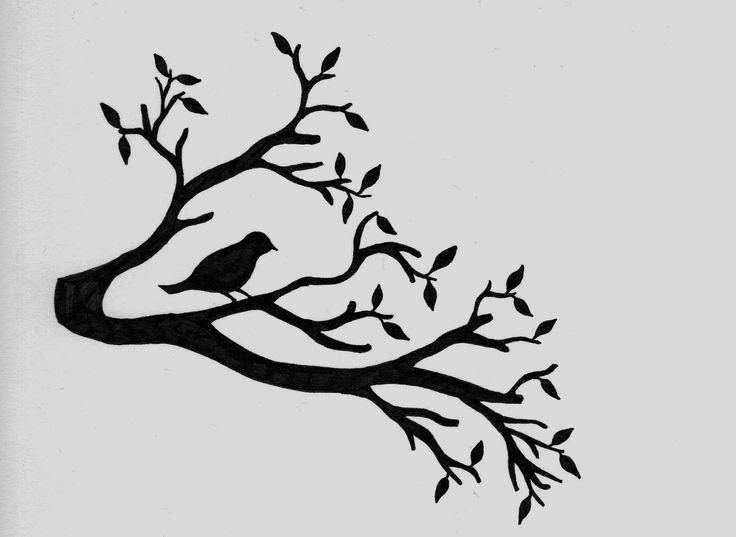 Силуэт дерева