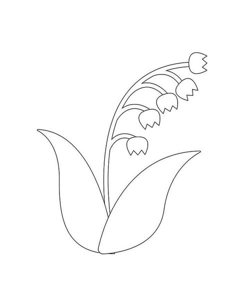 Цветок ландыша трафарет