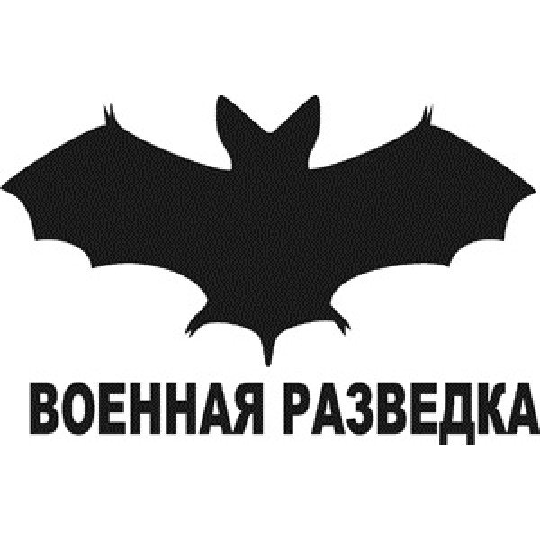 Наклейка Военная разведка