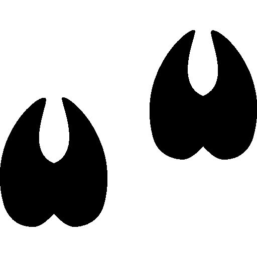 Отпечаток копыта коровы