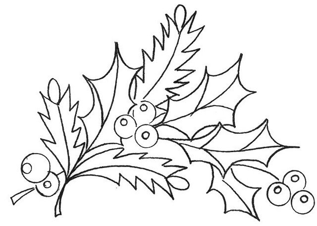 Остролист трафарет