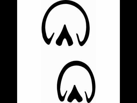 Следы лошади для детей