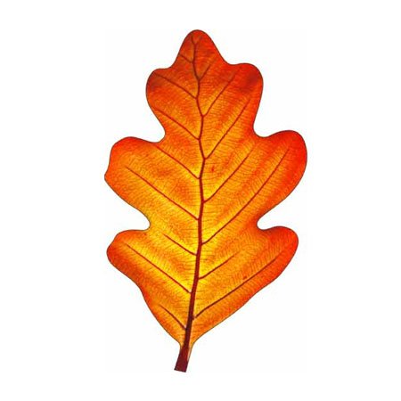 Дубовые листочки