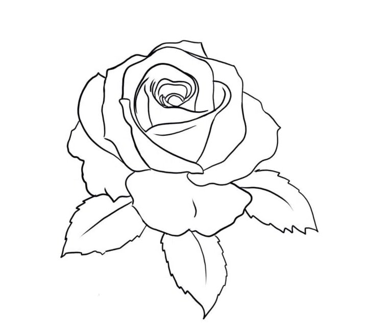 Трафарет розы для вырезания из бумаги шаблоны