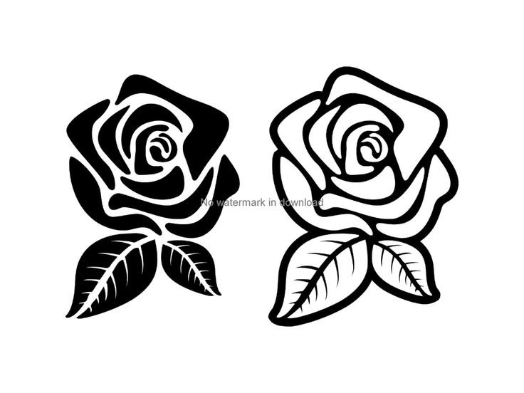 Роза контур