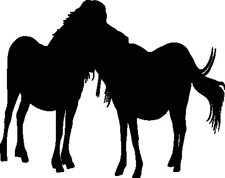 Постер с силуэтом двух лошадей