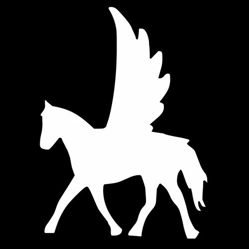 Пегас шаблон