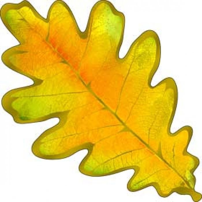 Осенние листочки