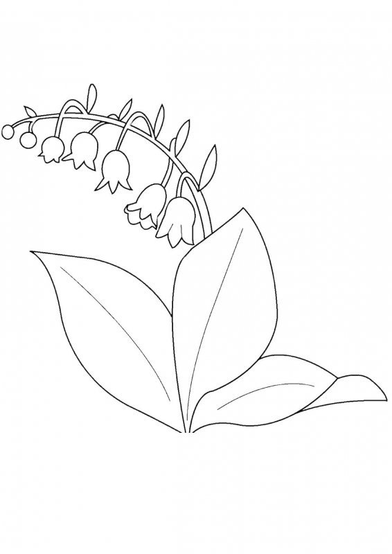 Первоцветы раскраска для детей