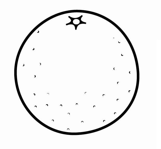 Апельсин раскраска для детей