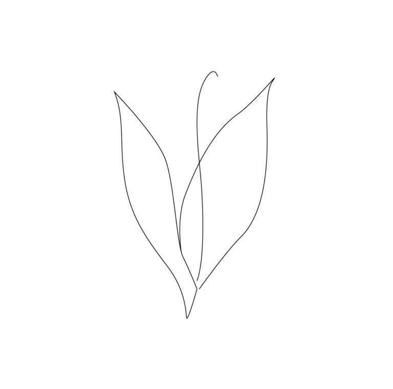 Лист ландыша трафарет