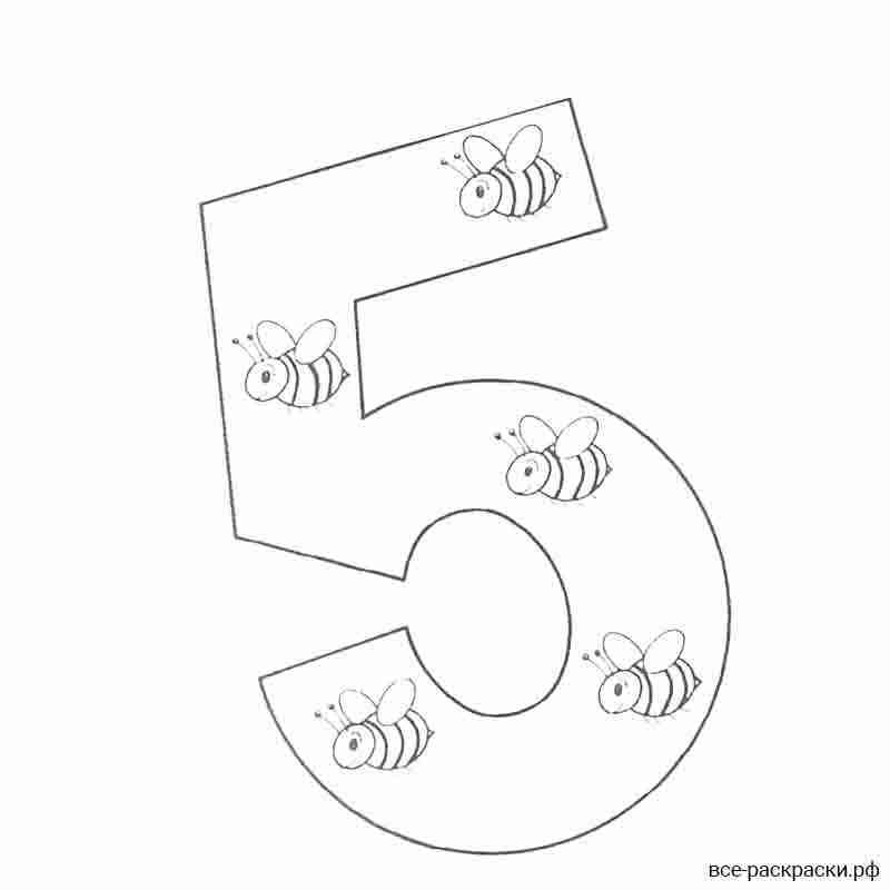 Пятерка раскраска