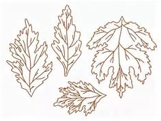 Трафарет листа хризантемы